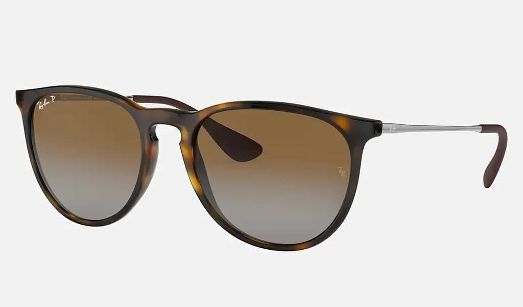 Ray-Ban Erika Classic